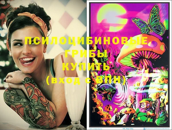 ECSTASY Алзамай