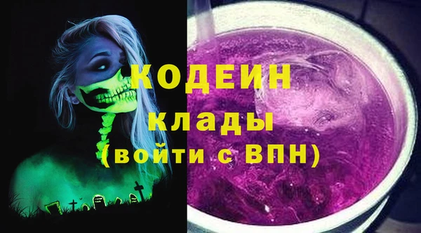 индика Краснослободск